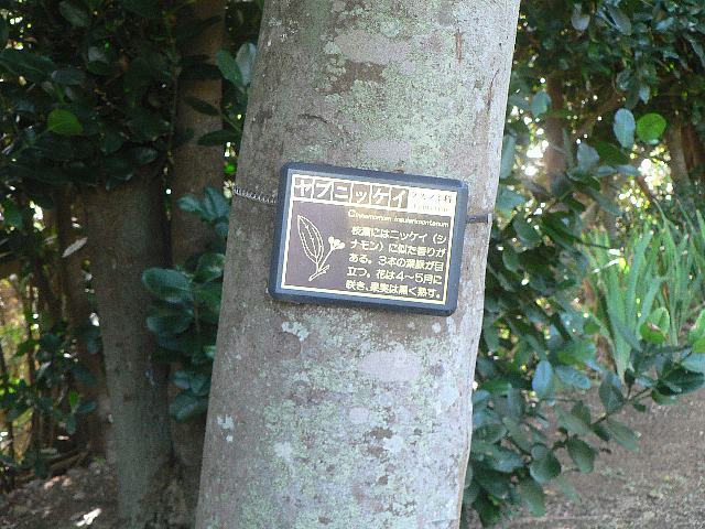 d0059226_12095599.jpg