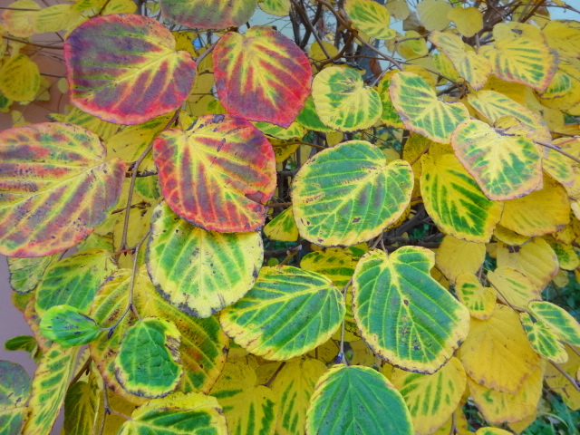 e0016828_10575388.jpg