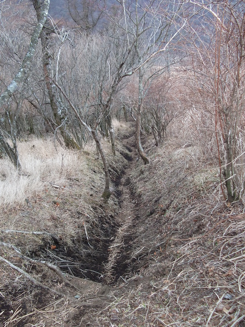 f0304030_20124623.jpg
