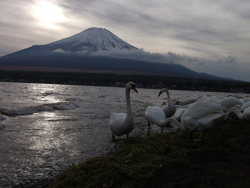 f0304030_2036456.jpg