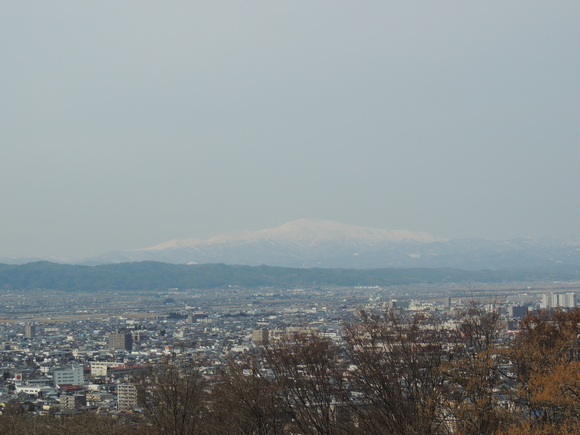 f0118332_2221534.jpg