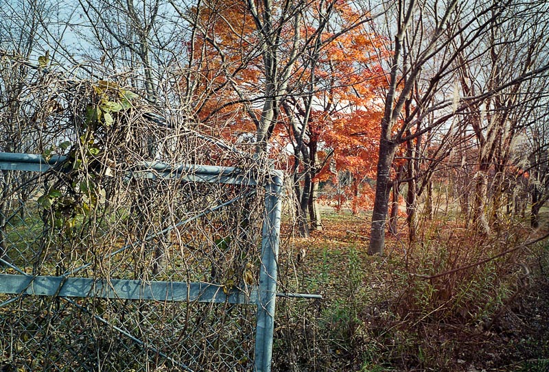f0265234_20134098.jpg