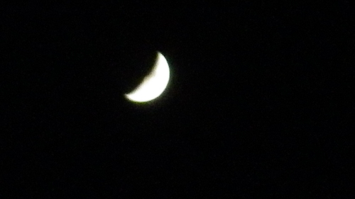 c0300035_23351145.jpg