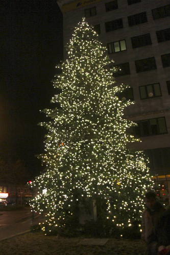 c0153740_2411446.jpg