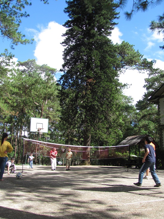 a0109542_12364049.jpg