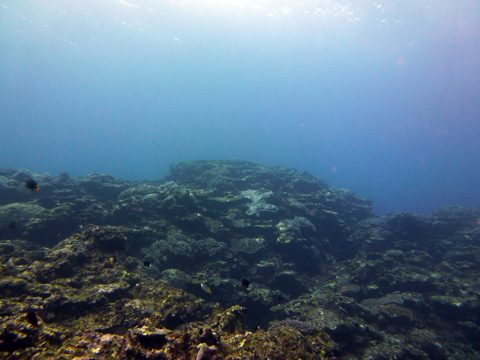 f0014842_18361168.jpg