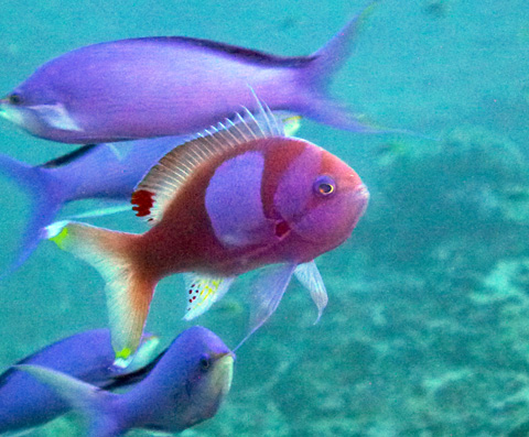 f0014842_1837539.jpg