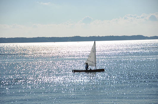 f0094843_004486.jpg