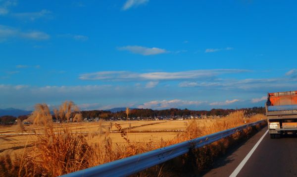 e0086244_20174377.jpg