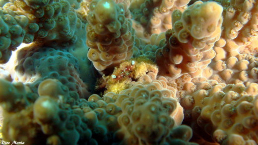b0236647_15161603.jpg