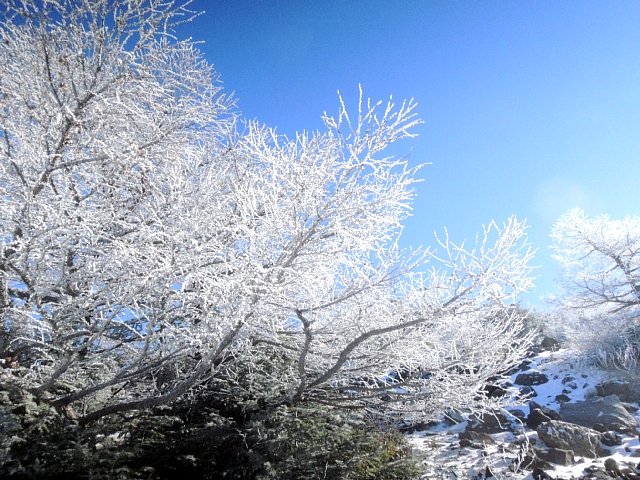 b0122448_2135967.jpg