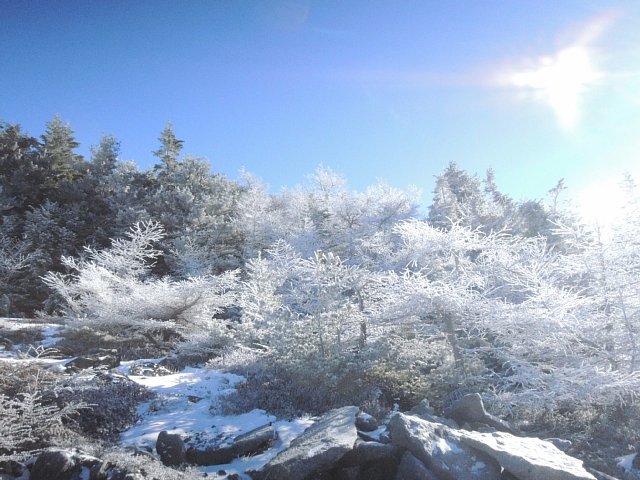 b0122448_2141616.jpg