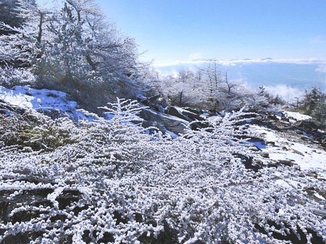 b0122448_2154762.jpg