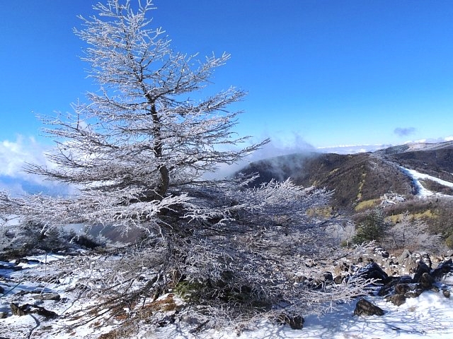 b0122448_2165410.jpg