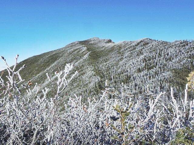 b0122448_2195056.jpg