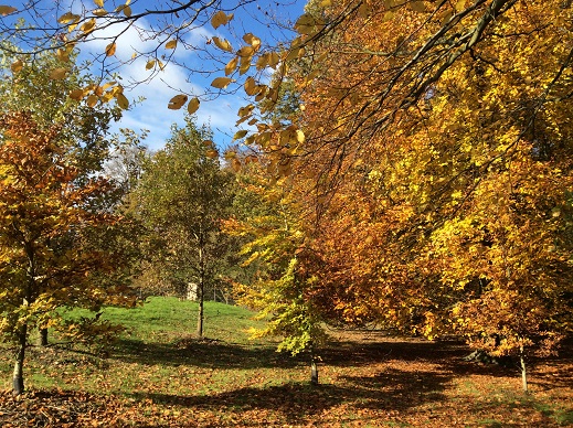 e0201748_714917.jpg