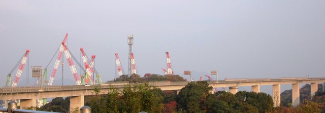 b0289649_2018946.jpg