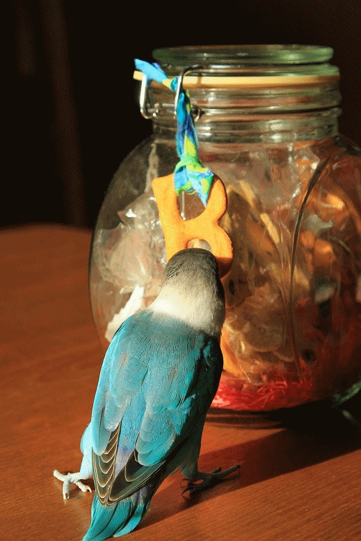 c0145250_1714675.gif