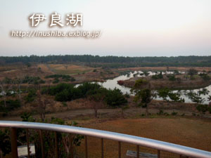 a0286855_19366.jpg