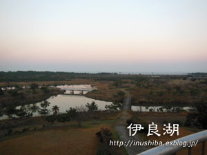 a0286855_193850.jpg