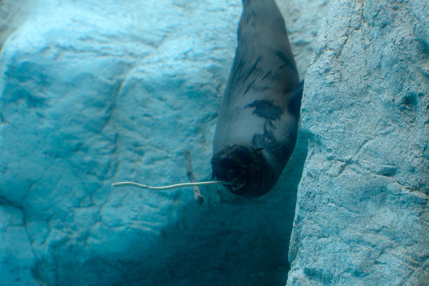 b0023856_753790.jpg