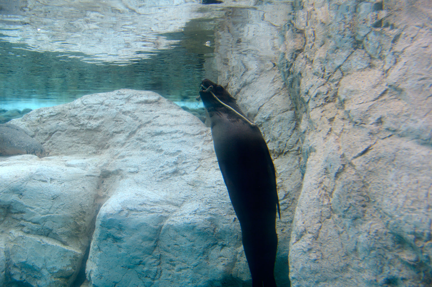 b0023856_7627.jpg