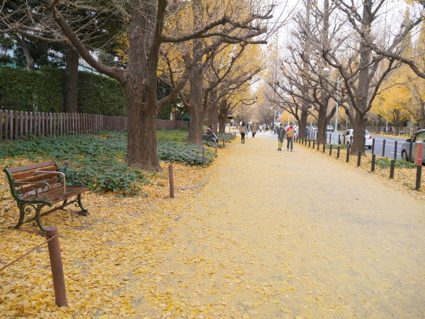 b0282061_21181572.jpg