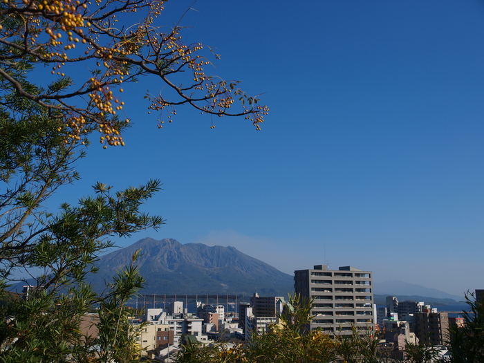 a0260570_0151092.jpg