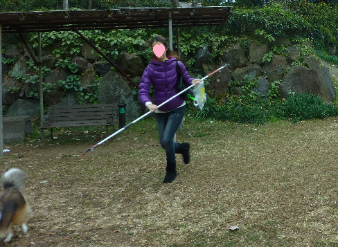 a0157174_18331710.png