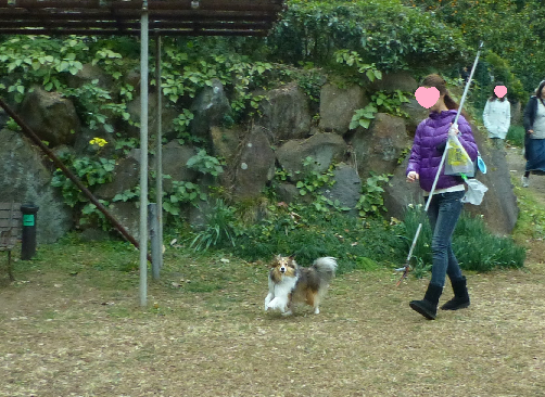 a0157174_18371073.png