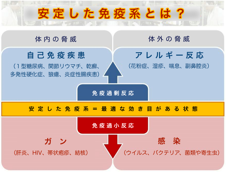 c0246876_12235394.png