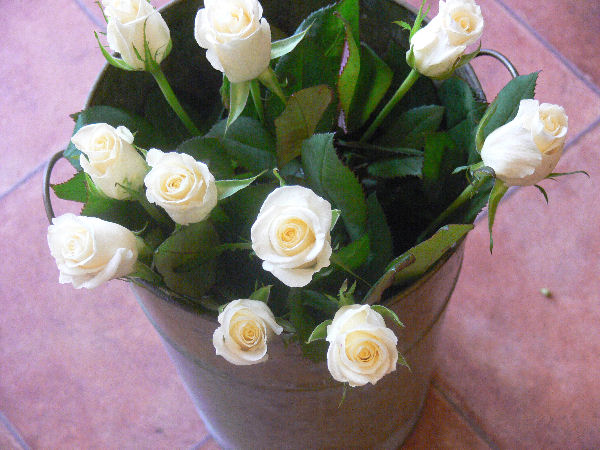 e0140986_146116.jpg