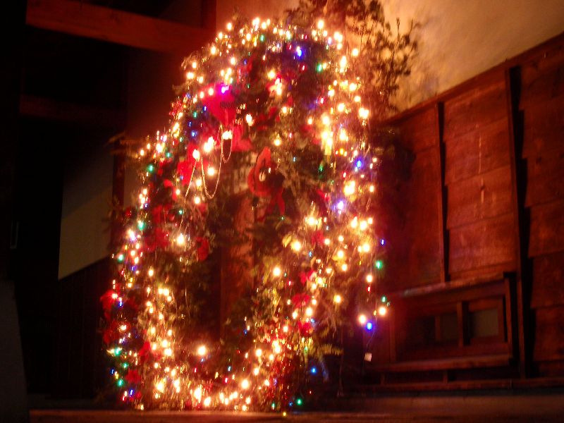 d0069498_2213410.jpg