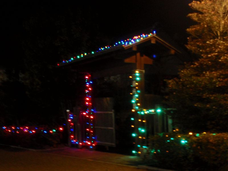 d0069498_22253184.jpg