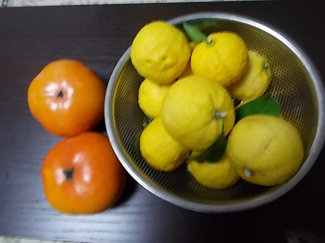 f0316507_17254167.jpg