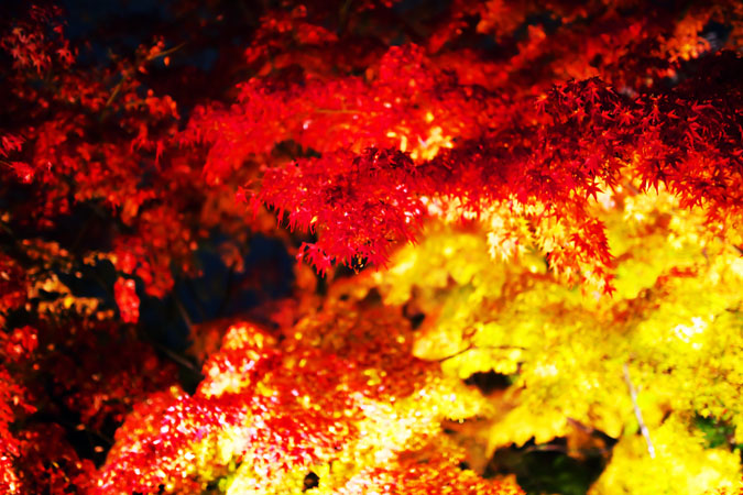 a0263109_2110670.jpg