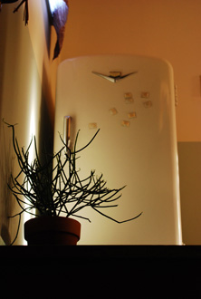 f0000211_151299.jpg