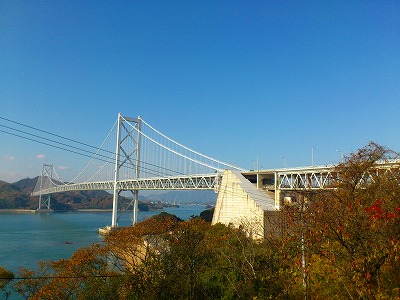 f0100911_205817100.jpg