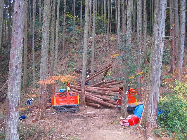 e0002820_22729.jpg