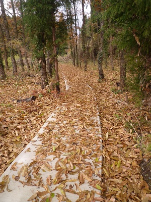 f0031420_10222036.jpg