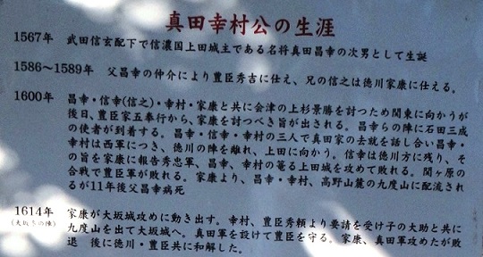 f0000521_381140.jpg