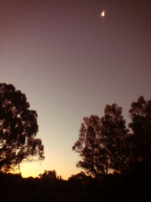 c0025422_10254125.jpg