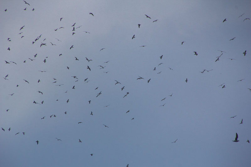 e0001123_11201123.jpg