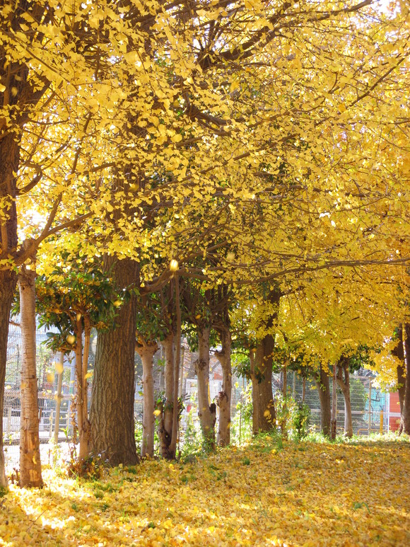 a0319833_23434095.jpg