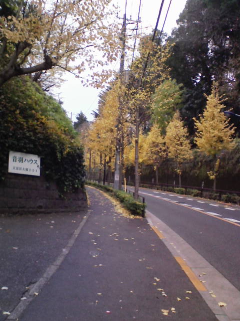 e0089438_1523317.jpg