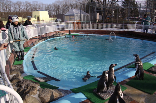 f0113639_1810339.jpg