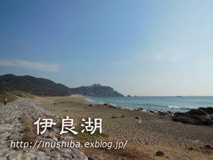 a0286855_9225448.jpg