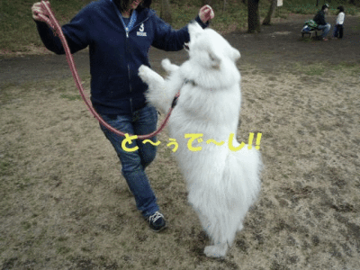 e0176159_12291882.gif