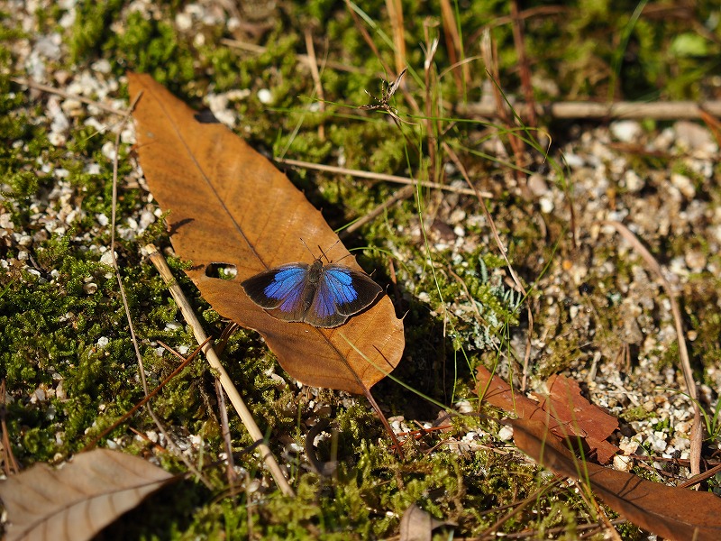 d0128465_9425441.jpg