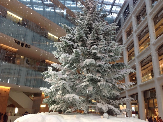 e0232266_2019264.jpg